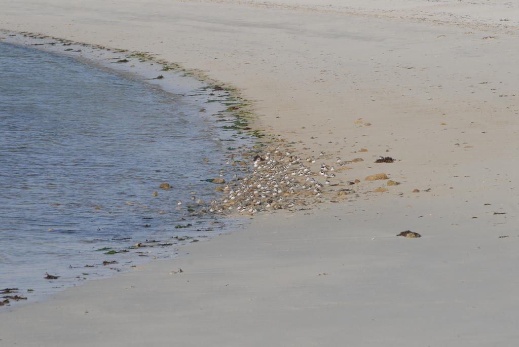 Roulotte Gites O Bien-Etre Massage Spa Sejour Bien-Etre En Hebergement Insolite Roulotte Karantez Ou En Gites Melon Ou Yock A 800 M Des Plages Maison D'Hote Drogou Porspoder Exterior foto